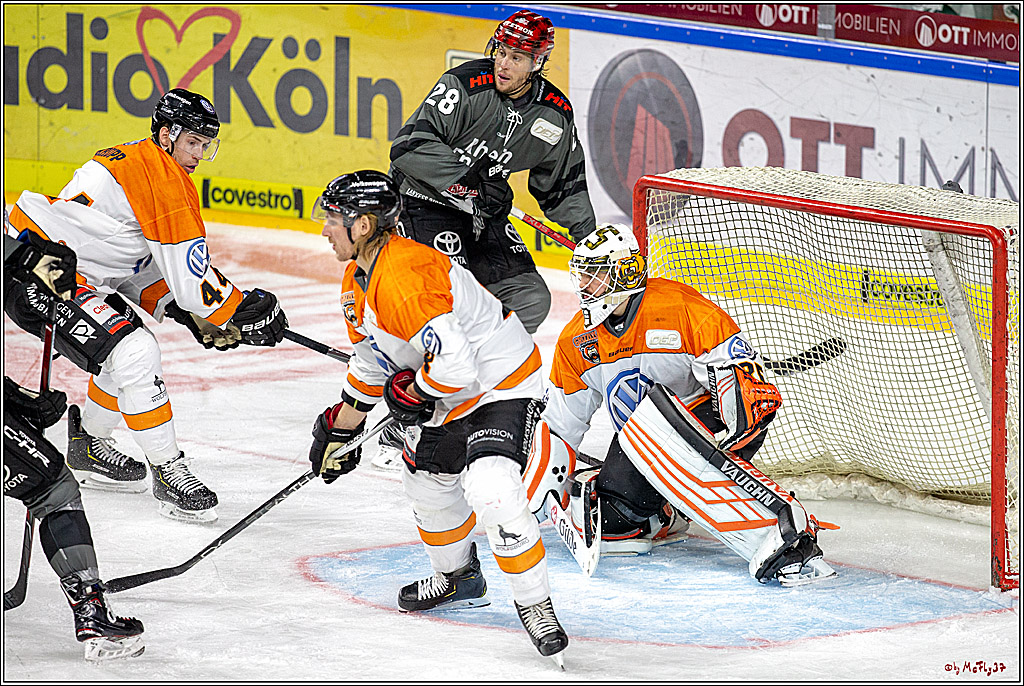 DEL Koelner Haie - Grizzlys Wolfsburg, 23.09.2018
